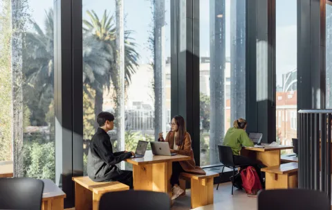 Students studying together in a library, surrounded by books and laptops.